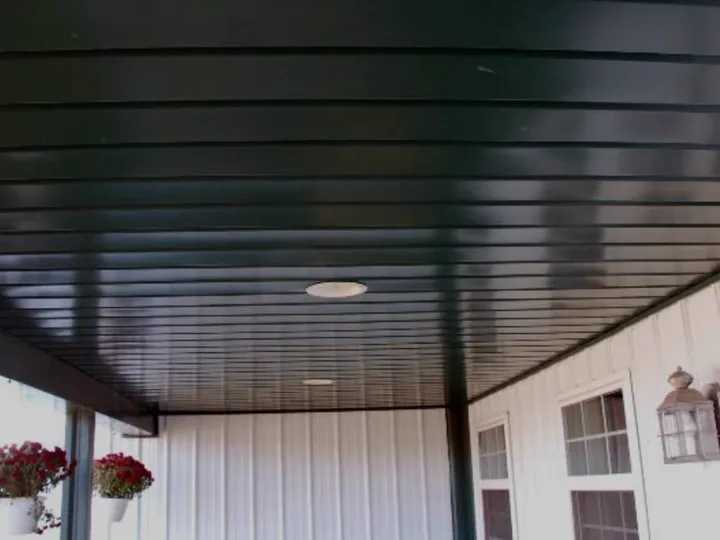Dark modern soffit ceiling